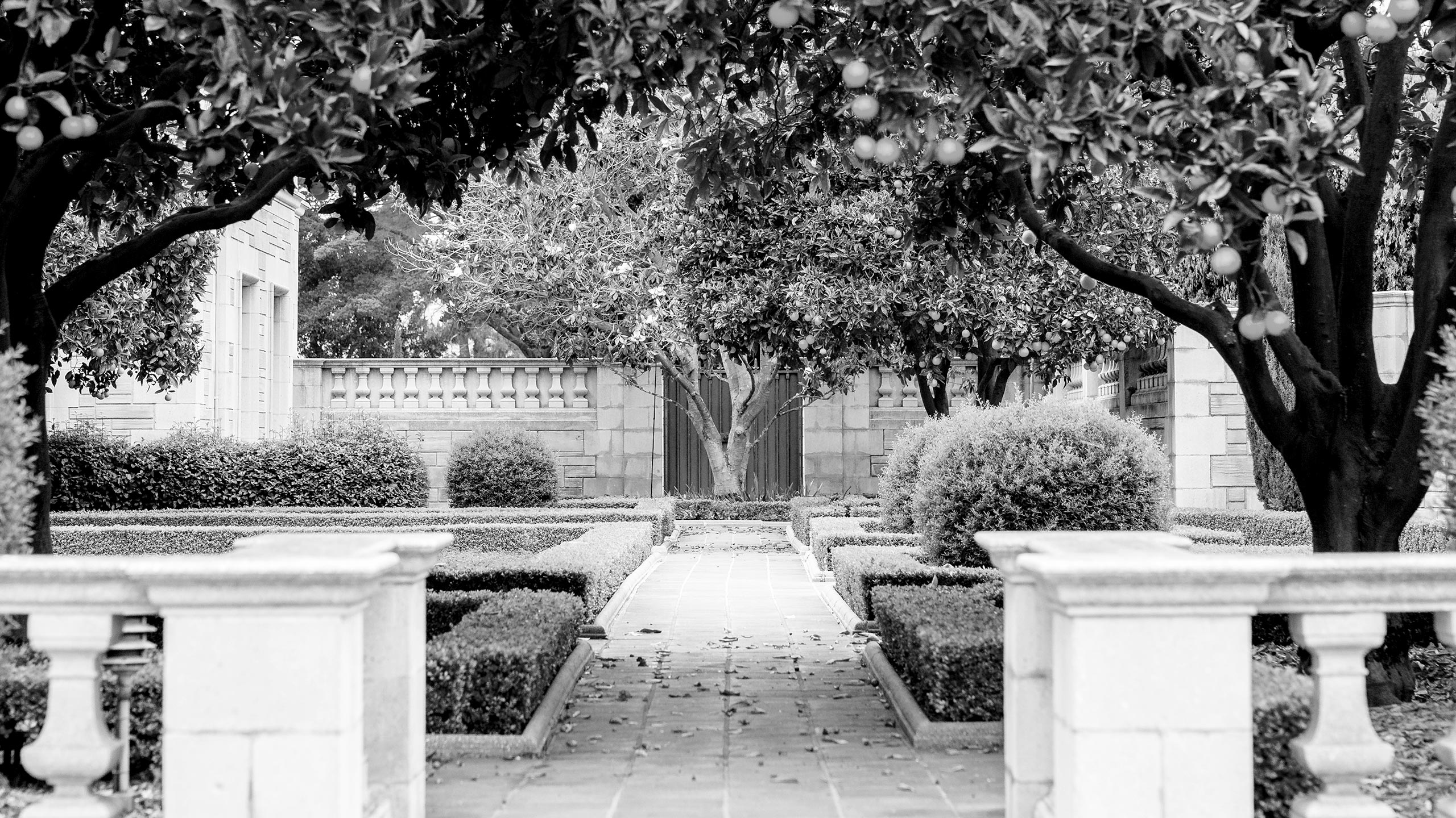 Santa Barbara 1936 Estate